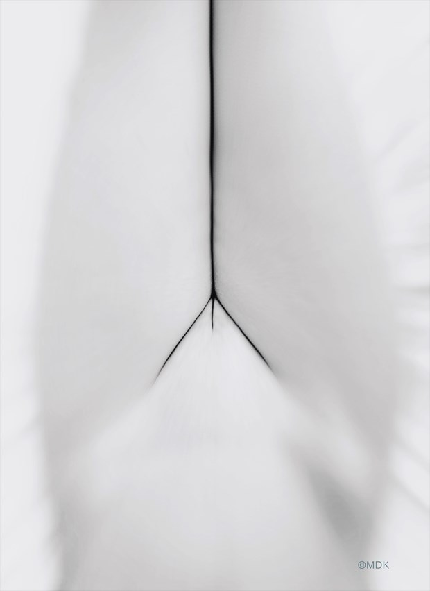 'poetic geometry' Artistic Nude Photo by Photographer Mandrake Zp %7C MDK